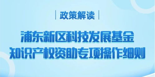 上海浦东 具有专利代理师资格或高级知识产权师职称,每人5 10万元资助